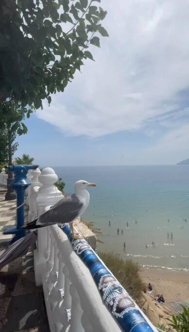 Apartamento Centrico Y En Primera Linea De Playa Leilighet Benidorm Eksteriør bilde