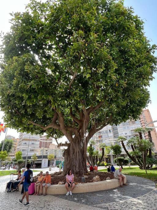 Apartamento Centrico Y En Primera Linea De Playa Leilighet Benidorm Eksteriør bilde